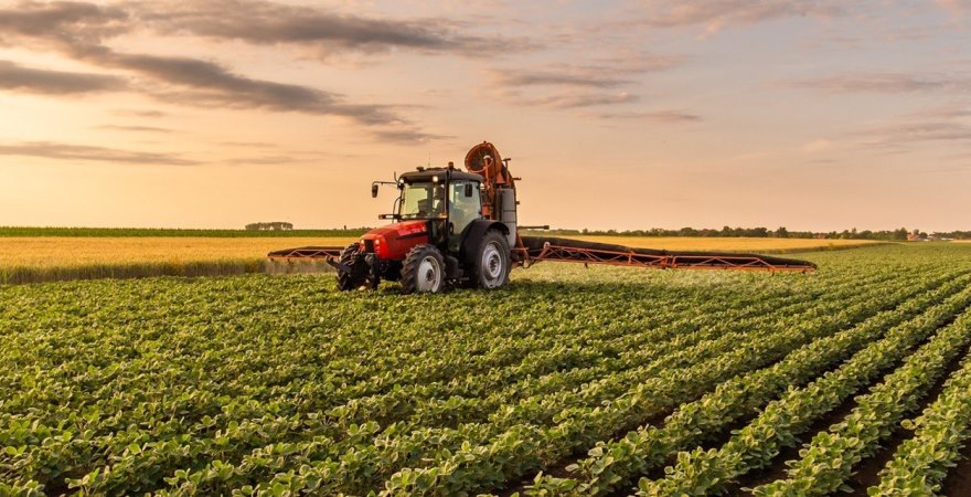Исследование Agrohub: наибольшие доходы в агробизнесе — в продажах зерновых и масличных