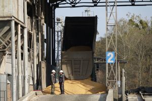 Автоперевозка зерна: география меняется из-за атак на границе