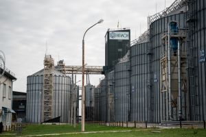 НИБУЛОН начал приемку зерна нового урожая на элеваторах