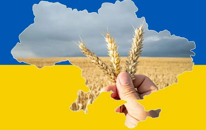 УкрАгроКонсалт підвищив прогноз урожаю зернових до 64,3 млн т