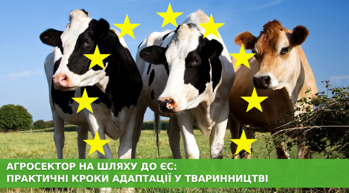 Україна експортувала пів мільйона тонн цукру: хто головний покупець