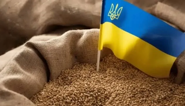 Военные риски удорожают украинский экспорт зерна морем